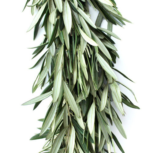 Primrue 72'' in. Fresh Olive Garland Wayfair